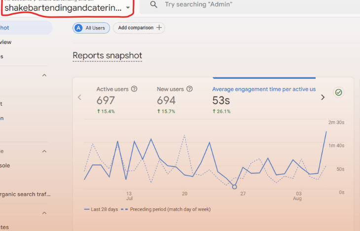 Mobile Bartending Company traffic growth Case Study