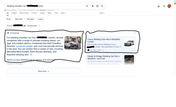 Rankvi Help Chauffeur Company RANK IN AI Results