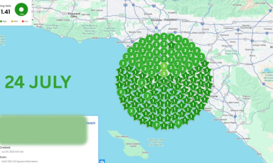 Hire Local SEO company for local small business